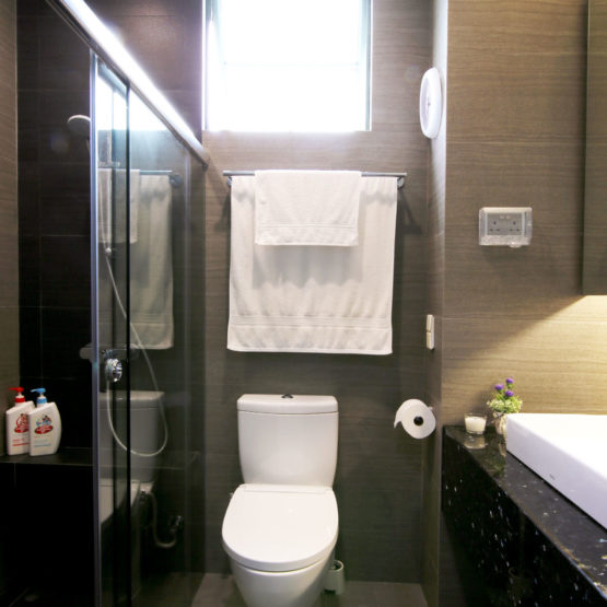 Tanglin Regency Bathroom View 3